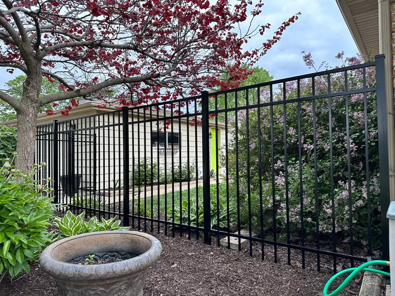 Black aluminum fence running through a planted side-yard garden