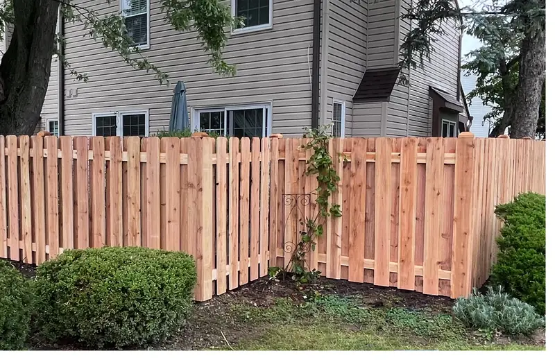 New cedar shadowbox fence in front of shrubs beside a house